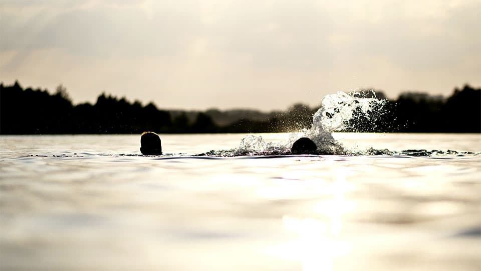 A silhouette of two people swimming in a lake